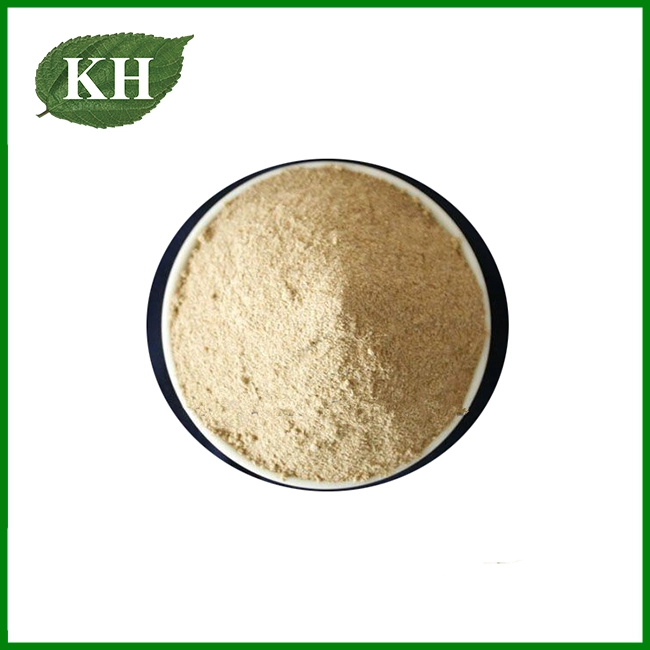 Caffeic Acid Powder